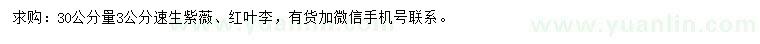 求購(gòu)30量3公分紫薇、紅葉李