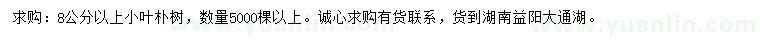 求購8公分以上小葉樸樹