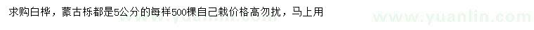 求購5公分白樺、蒙古櫟