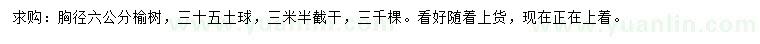 求購胸徑6公分榆樹