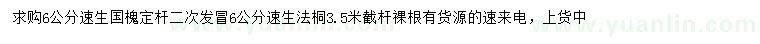 求購(gòu)6公分速生國(guó)槐、速生法桐
