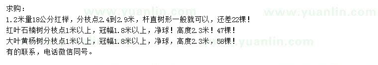 求購紅櫸、紅葉石楠、大葉黃楊