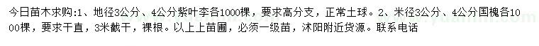 求購3、4公分紫葉李、國槐
