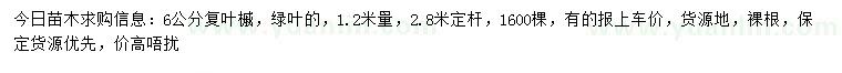 求購1.2米量6公分復(fù)葉槭