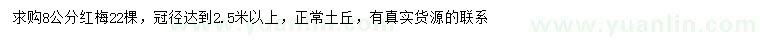 求購8公分紅梅