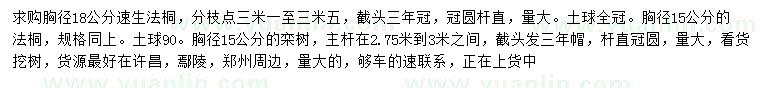 求購速生法桐、法桐、欒樹