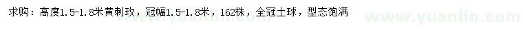 求購(gòu)高1.5-1.8米黃刺玫