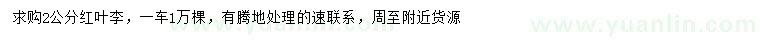 求購(gòu)2公分紅葉李