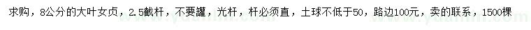 求購8公分大葉女貞