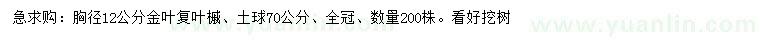 求購胸徑12公分金葉復(fù)葉槭