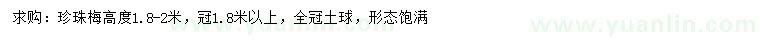 求購高1.8-2米珍珠梅
