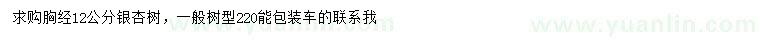 求購胸徑12公分銀杏