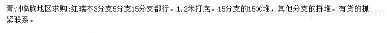 求購1.2米紅瑞木