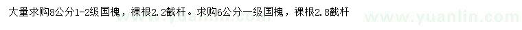 求購(gòu)6、8公分國(guó)槐