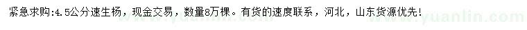 求購(gòu)4.5公分速生楊