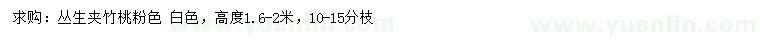 求購(gòu)高1.6-2米叢生夾竹桃