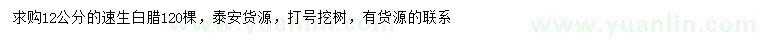 求購12公分速生白臘