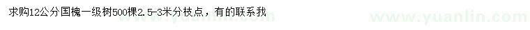 求購12公分國槐