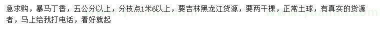 求購(gòu)5公分以上暴馬丁香