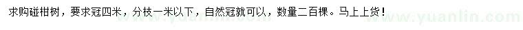 求購冠幅4米碰柑
