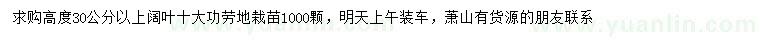 求購高30公分以上闊葉十大功勞