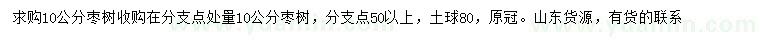 求購10公分棗樹