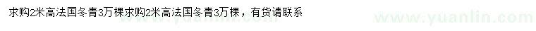 求購高2米法國冬青