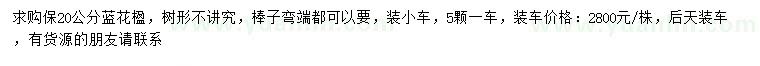 求購(gòu)20公分藍(lán)花楹