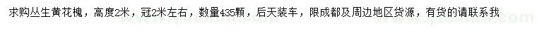 求購高2米叢生黃花槐