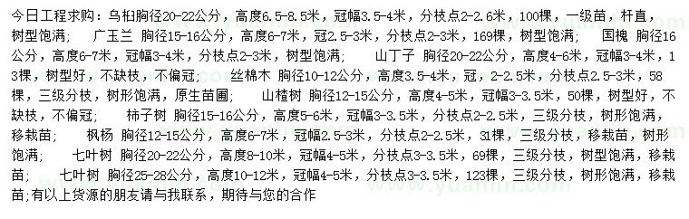求購(gòu)烏桕、廣玉蘭、國(guó)槐等