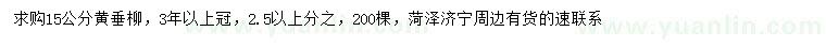 求購15公分黃垂柳