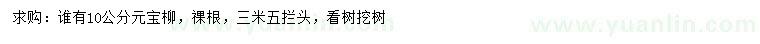求購10公分元寶柳