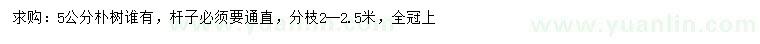 求購5公分樸樹