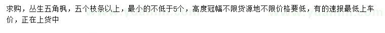 求購叢生五角楓