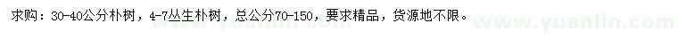 求購(gòu)30-40公分樸樹(shù)