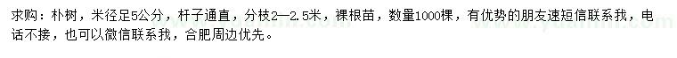 求購米徑足5公分樸樹