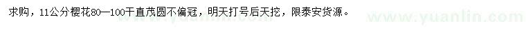 求購(gòu)11公分櫻花