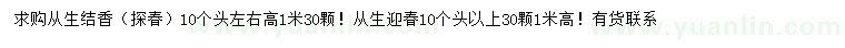 求購高1米從生結香（探春）、從生迎春