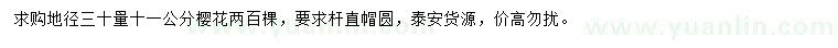 求購地徑30公分量11公分櫻花