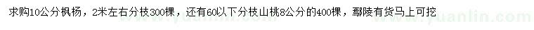 求購10公分楓楊、8公分山桃