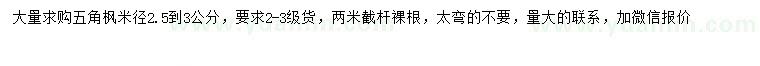 求購米徑2.5-3公分五角楓