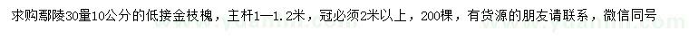 求購30公分量10公分低接金枝槐