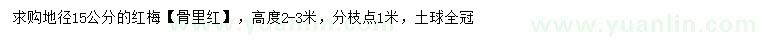 求購地徑15公分紅梅