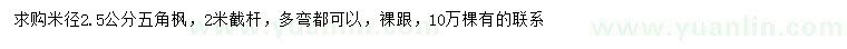 求購米徑2.5公分五角楓