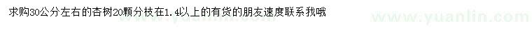 求購30公分左右杏樹