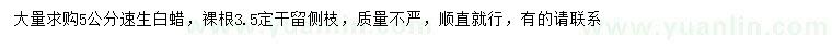 求購(gòu)5公分速生白蠟