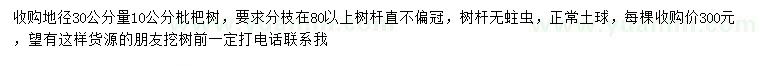 求購(gòu)地徑30公分量10公分枇杷樹(shù)