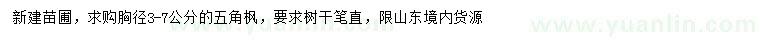 求購3-7公分五角楓
