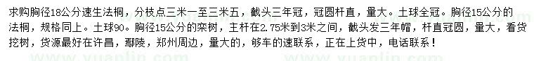 求購胸徑15、18公分速生法桐、15公分欒樹