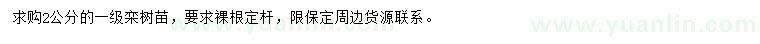 求購2公分欒樹苗